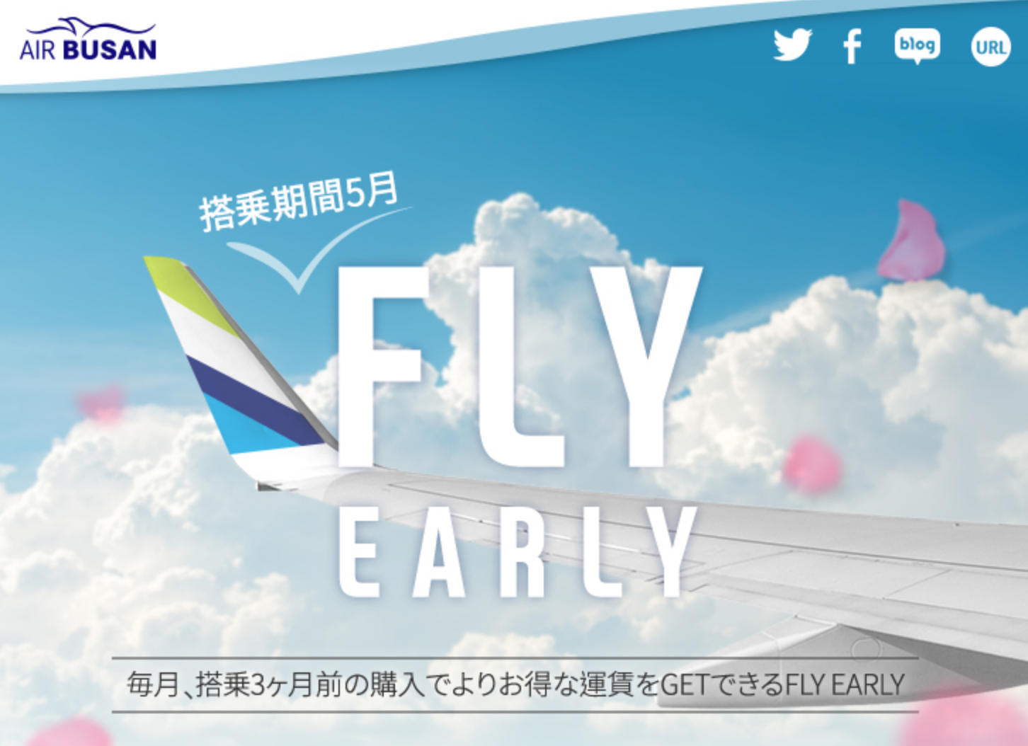 airbusansale180206.png