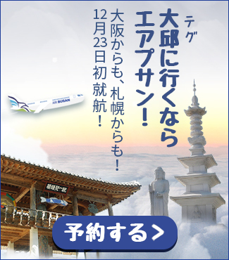 エアプサン 大阪 札幌 テグ線に本日から就航 16年12月23日 旅するlcc